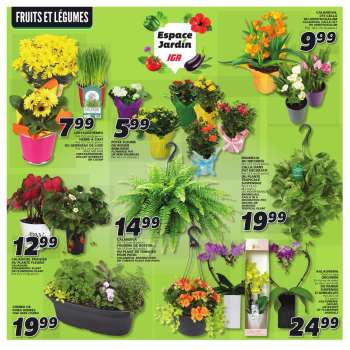 thumbnail - Fleurs et plantes