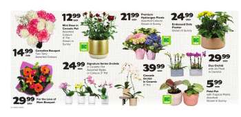 thumbnail - Fleurs et plantes
