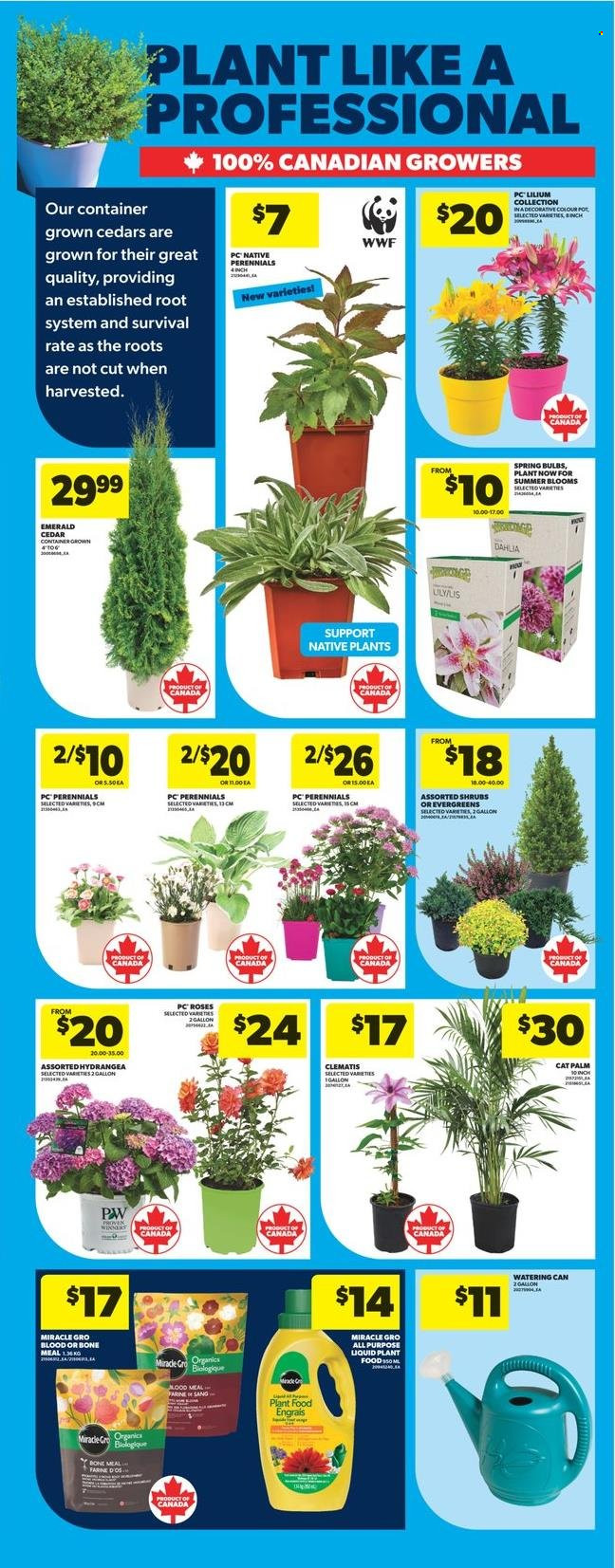Circulaire Real Canadian Superstore - 08 Mai 2025 - 14 Mai 2025. Page 1