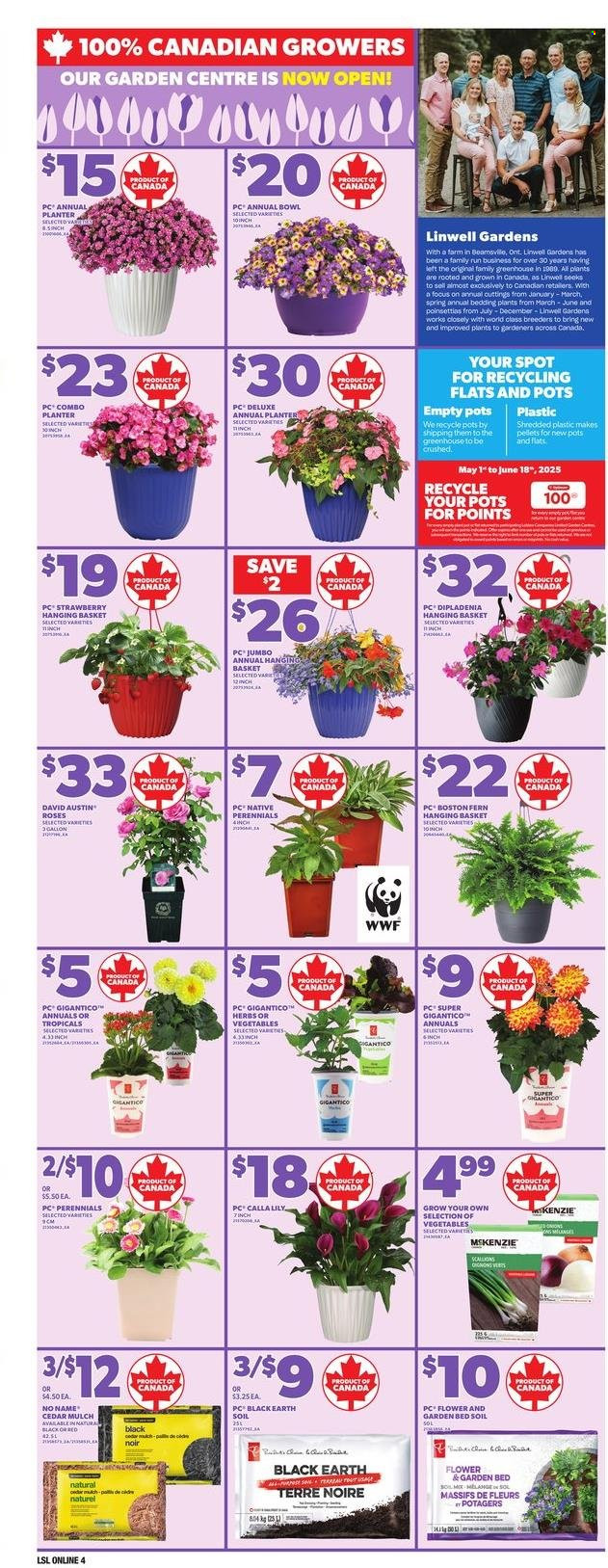 Circulaire Loblaws - 08 Mai 2025 - 14 Mai 2025. Page 1