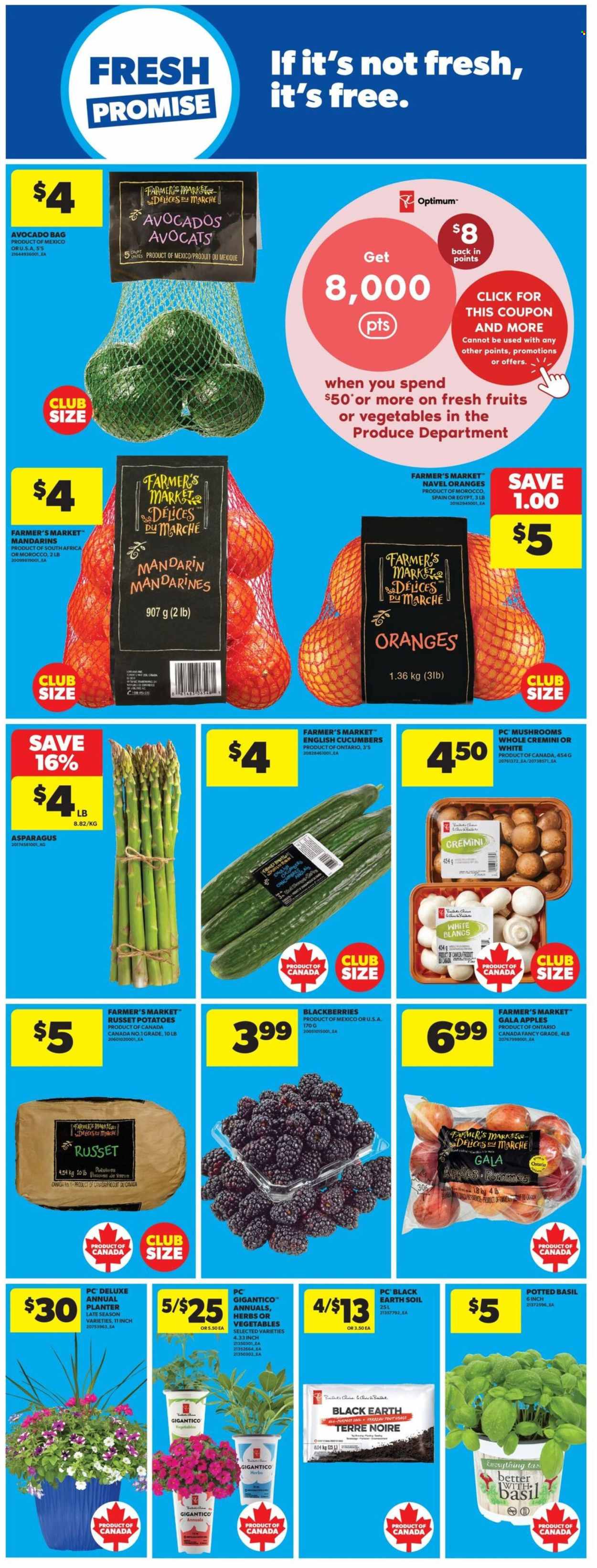 Circulaire Real Canadian Superstore - 11 Juin 2026 - 17 Juin 2026. Page 19