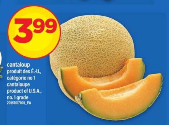 CANTALOUP