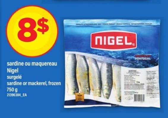 sardine ou maquereau Nigel