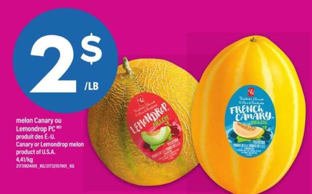 melon Canary ou Lemondrop PC