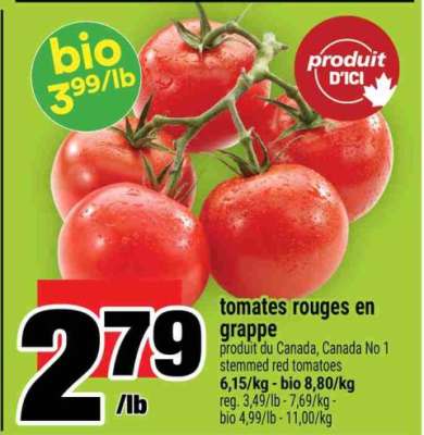 TOMATES ROUGES EN GRAPPE