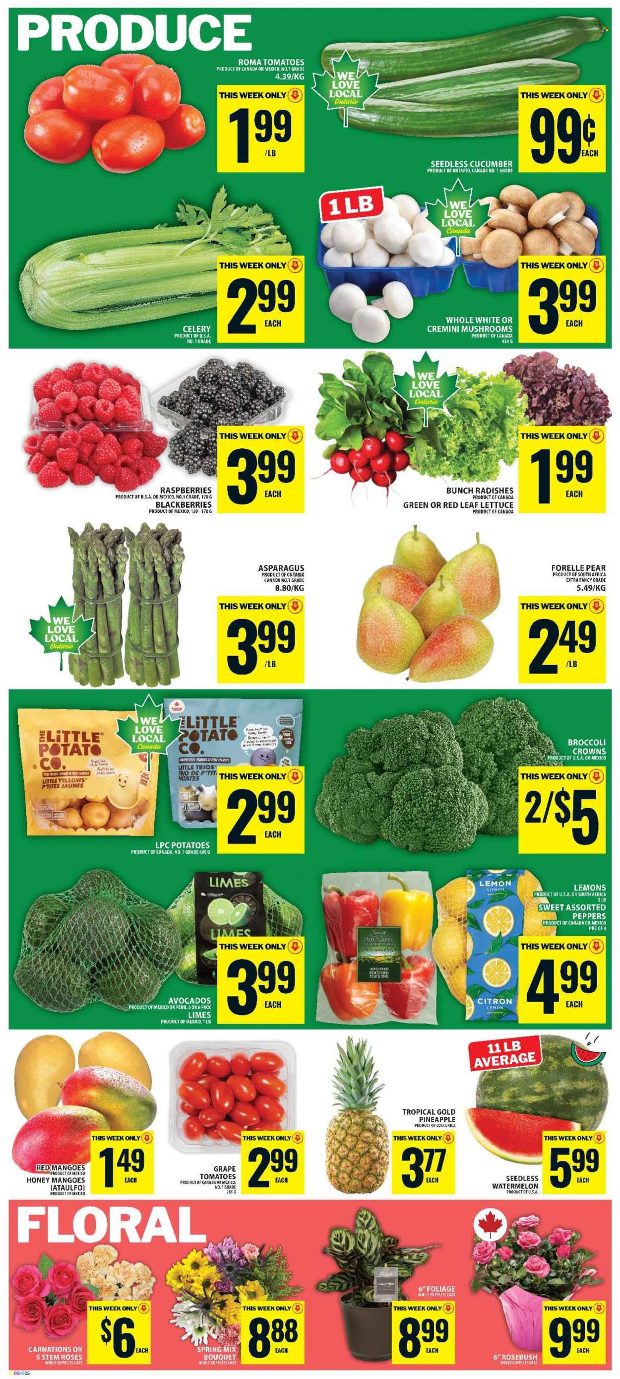 Circulaire Food Basics - 18 Juin 2026 - 24 Juin 2026. Page 6
