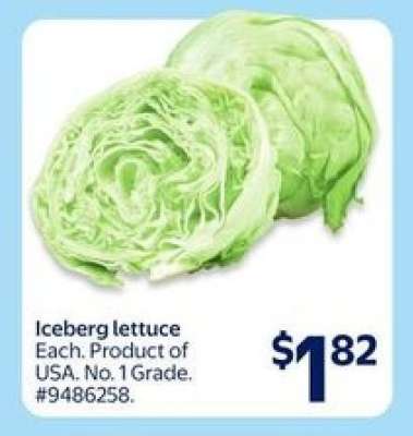 Iceberg Lettuce