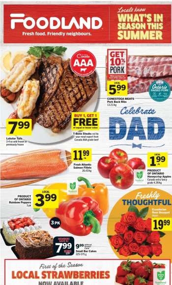 thumbnail - Circulaire Foodland