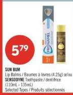 SUN BUM