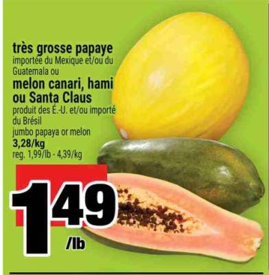très grosse papaye ou melon