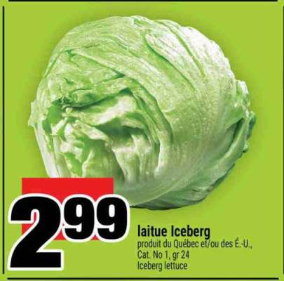 laitue Iceberg