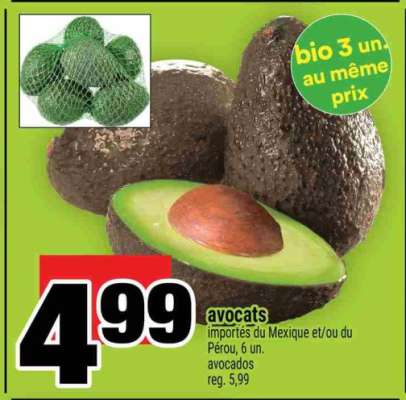 avocats