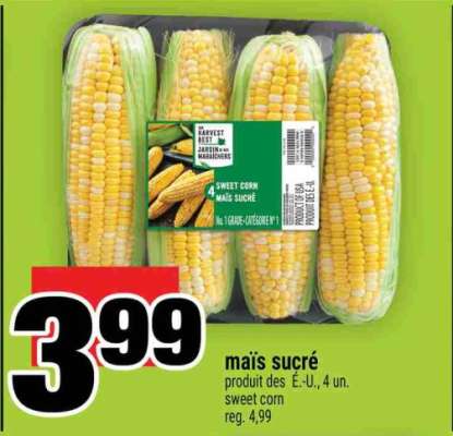 maïs sucré