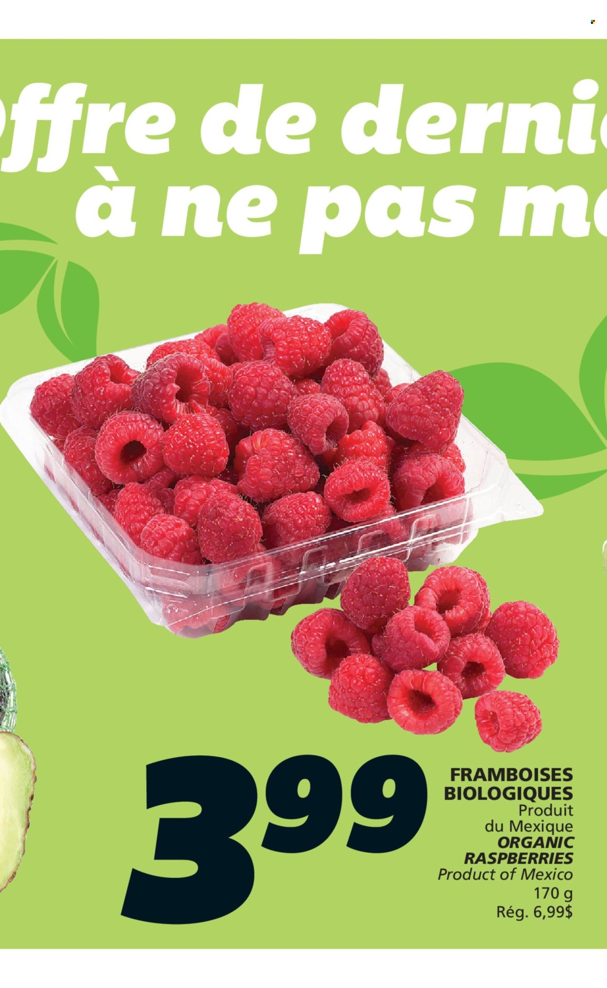 Circulaire IGA - 25 Juin 2026 - 01 Juillet 2026. Page 5