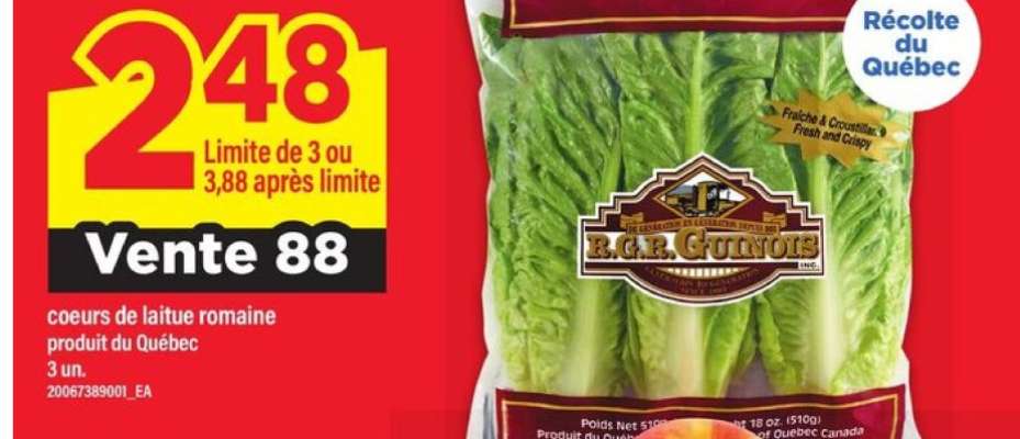 cœurs de laitue romaine