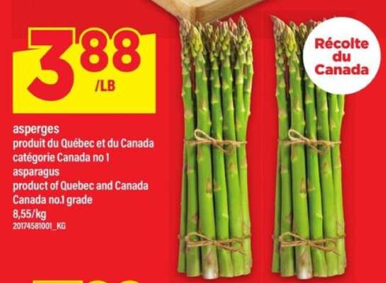 ASPERGES