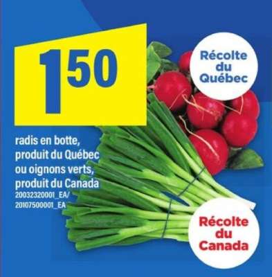 Radis en botte ou oignons verts