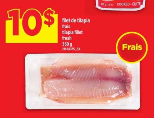 filet de tilapia, frais