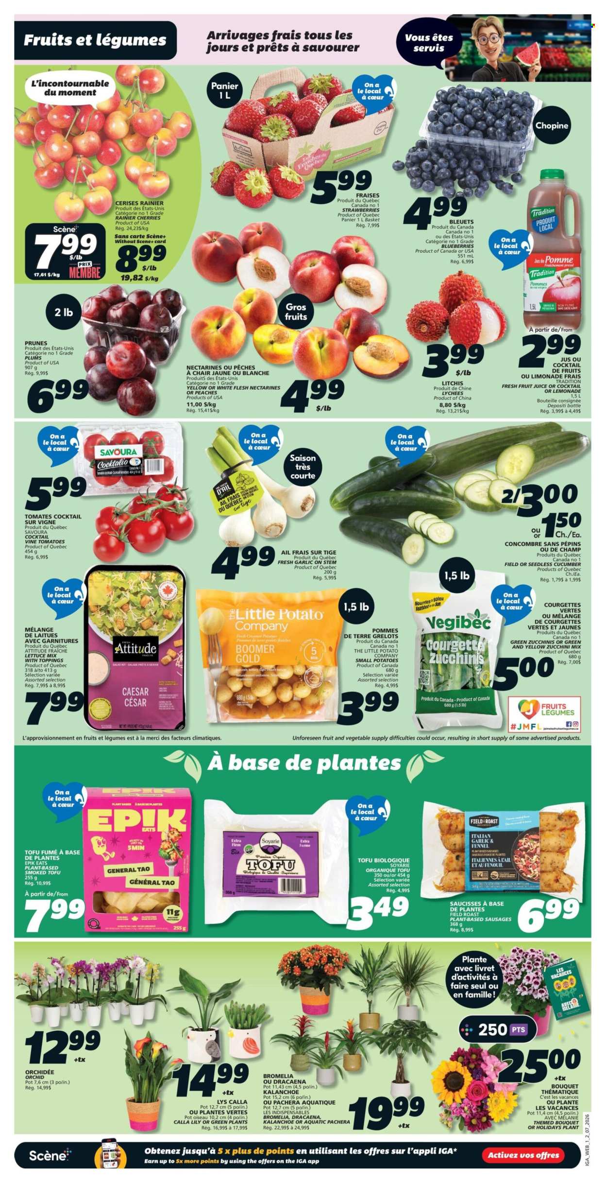 Circulaire IGA - 02 Juillet 2026 - 08 Juillet 2026. Page 3