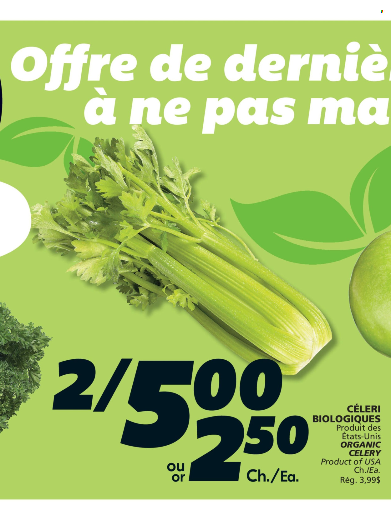 Circulaire IGA - 02 Juillet 2026 - 08 Juillet 2026. Page 5