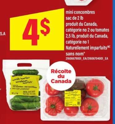 Mini concombres ou tomates