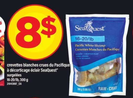 Seaquest Pacific White Shrimp