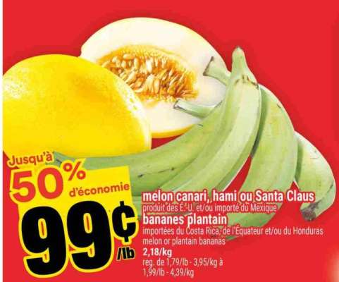 melon canari, hami ou Santa Claus