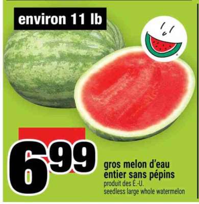 Gros melon d'eau entier sans pépins