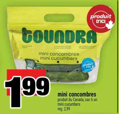 mini concombres