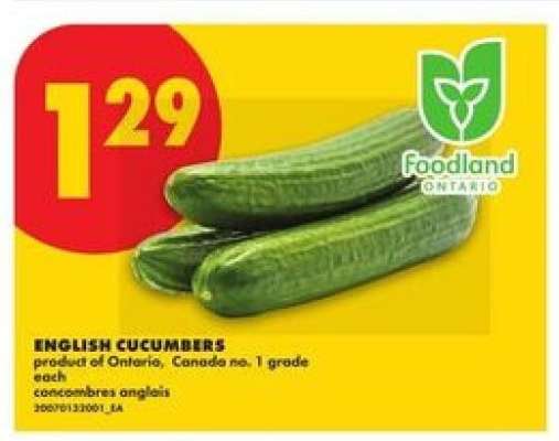ENGLISH CUCUMBERS