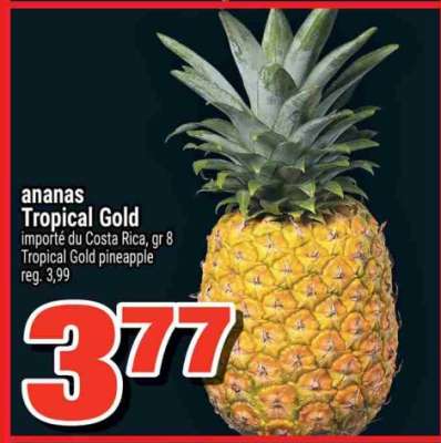 ANANAS TROPICAL GOLD