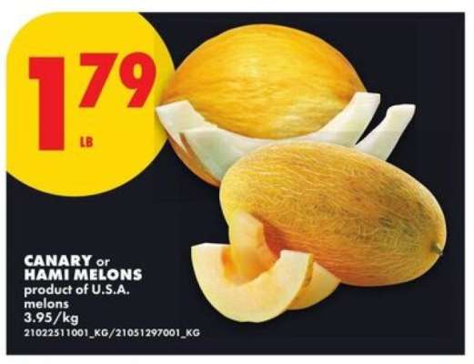CANARY or HAMI MELONS