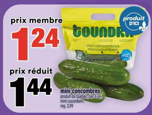 mini concombres