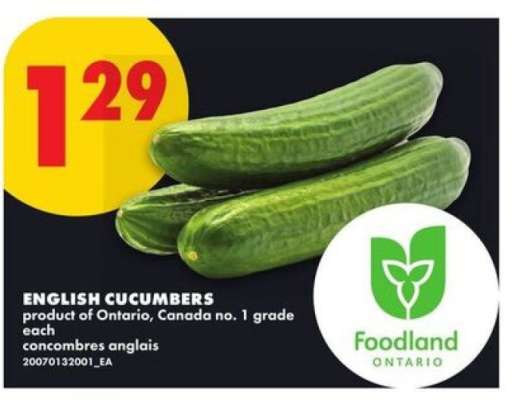 ENGLISH CUCUMBERS