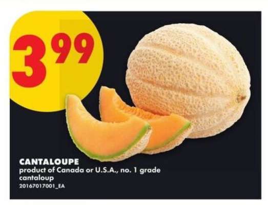 CANTALOUPE