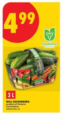 DILL CUCUMBERS