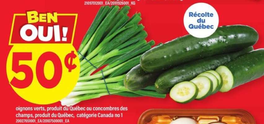 Oignons verts ou concombres des champs