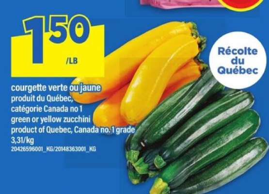 COURGETTE VERTE OU JAUNE