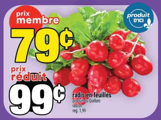 radis en feuilles