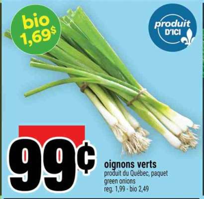 oignons verts