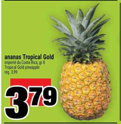ANANAS TROPICAL GOLD