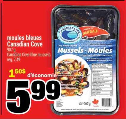 MOULES BLEUES CANADIAN COVE