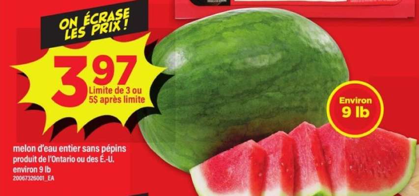 MELON D'EAU ENTIER SANS PÉPINS