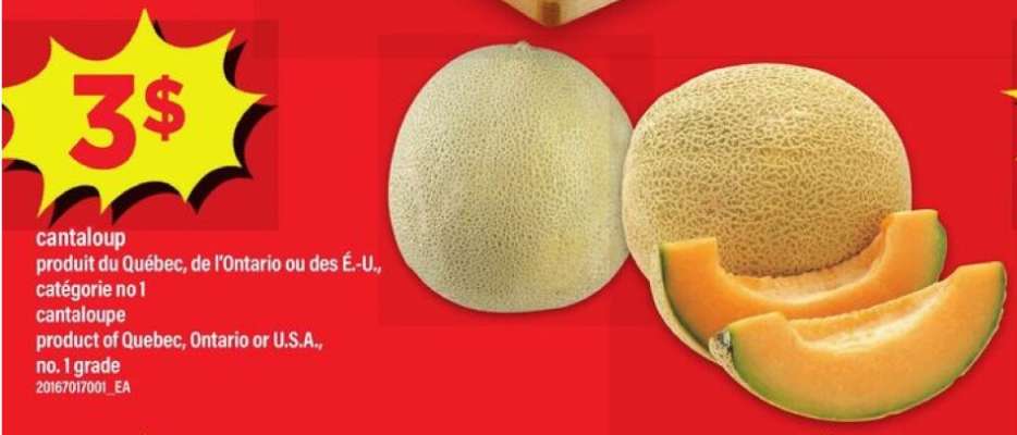 CANTALOUP
