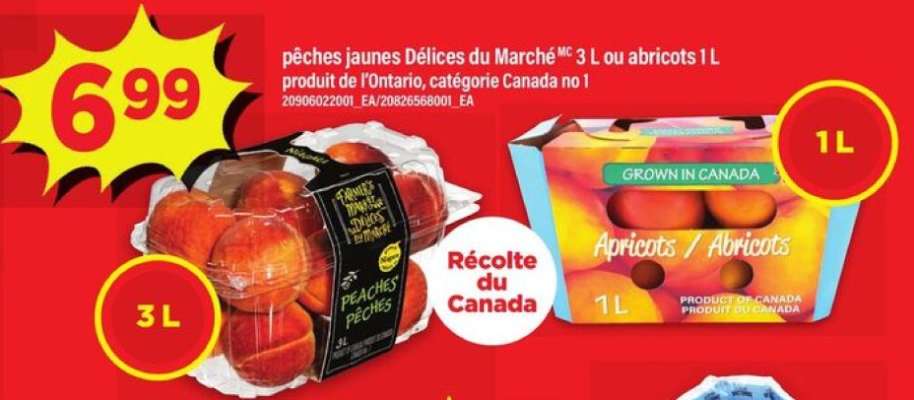 pêches jaunes Délices du Marché 3 L ou abricots 1 L