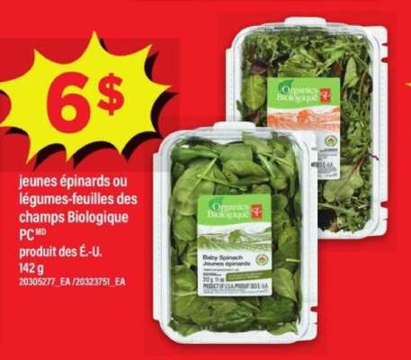 jeunes épinards ou légumes-feuilles des champs Biologique PC