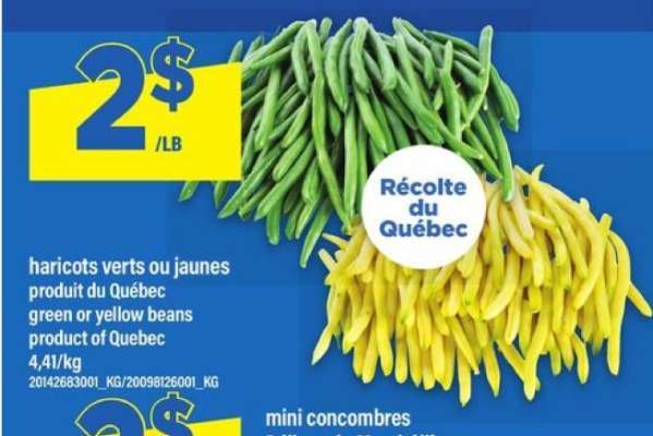 HARICOTS VERTS OU JAUNES