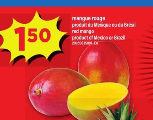 MANGUE ROUGE