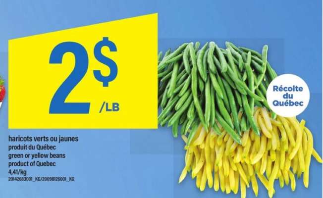 HARICOTS VERTS OU JAUNES
