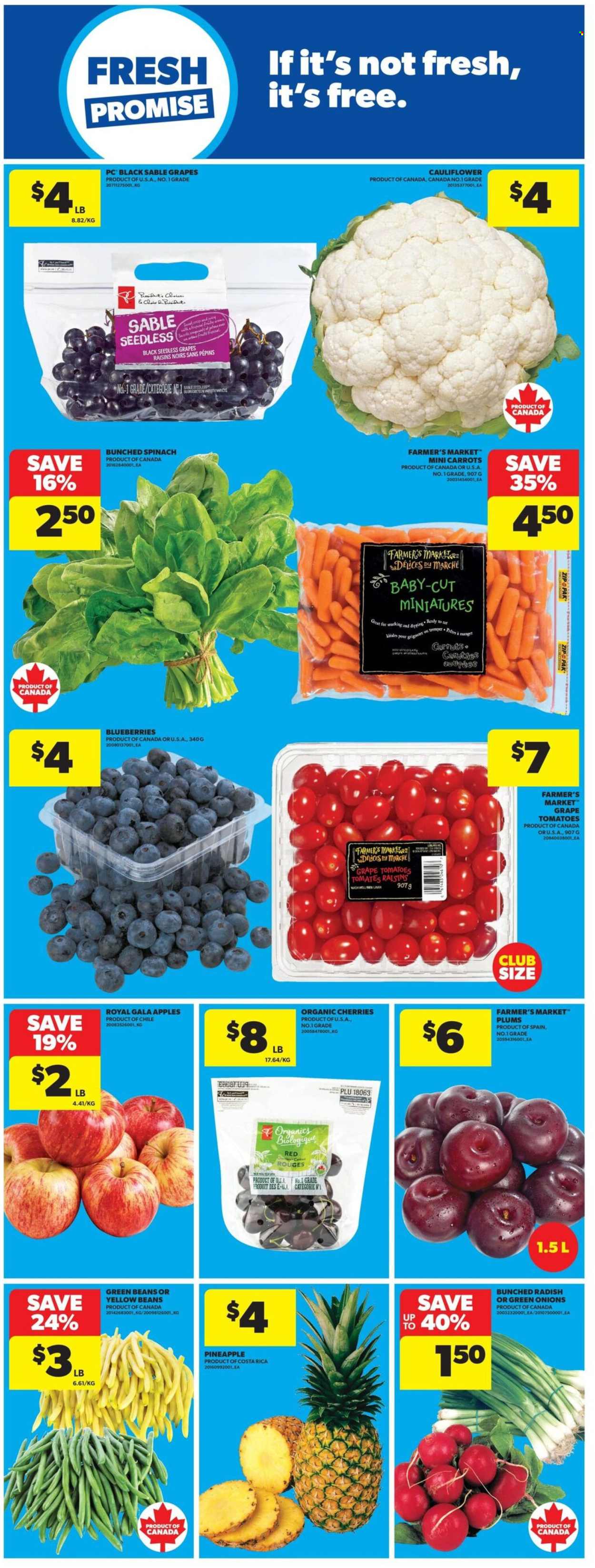 Circulaire Real Canadian Superstore - 30 Juillet 2026 - 05 Août 2026. Page 17